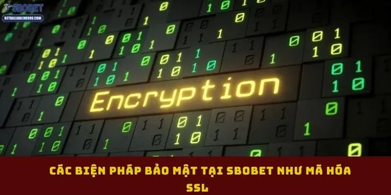 cac-bien-phap-bao-mat-tai-sbobet-nhu-ma-hoa-ssl