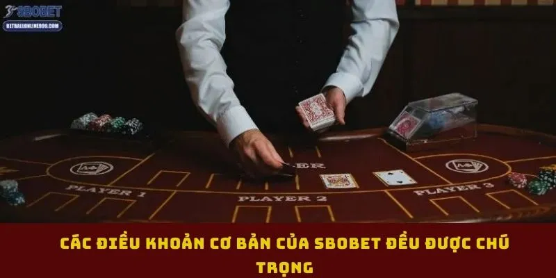 cac-dieu-khoan-co-ban-cua-sbobet-deu-duoc-chu-trong