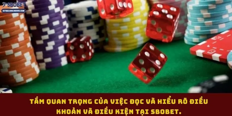 tam-quan-trong-cua-viec-doc-va-hieu-ro-dieu-khoan-va-dieu-kien-tai-sbobet